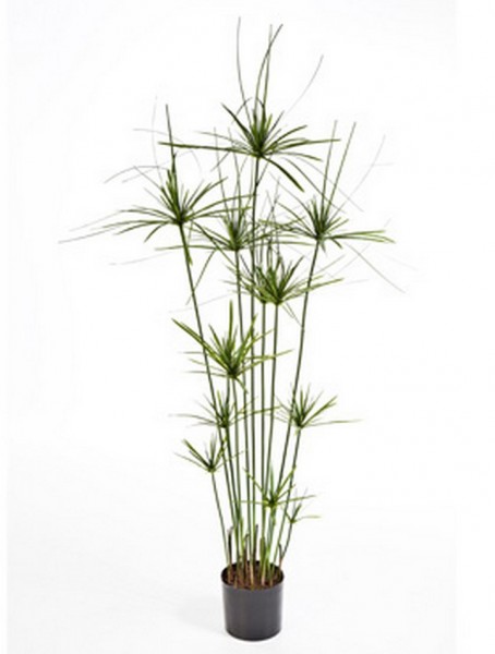 Papyrus de luxe 140 cm | Kunstpflanze