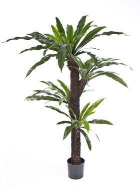 Nestfarn Palme 160 cm | Kunstpflanze
