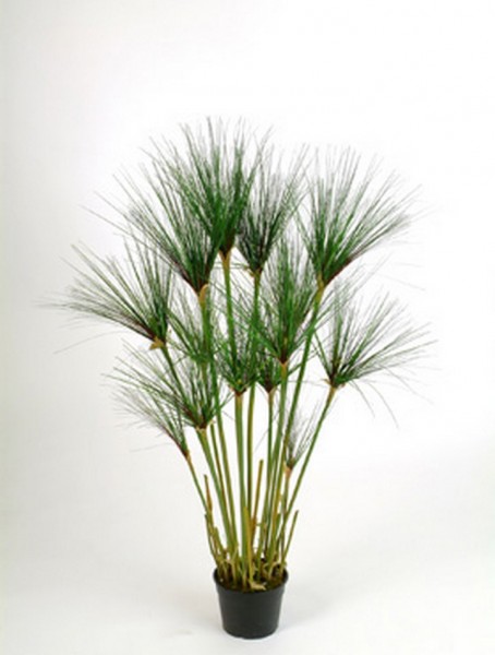 Papyrus cyperus 122 cm | Kunstpflanze