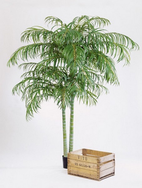 Areca Plame de luxe 210 cm Kunstpflanze