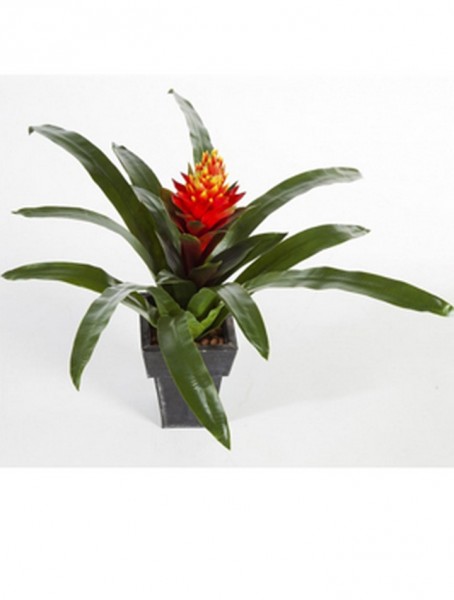 Guzmania conifera 50 cm | Kunstpflanze