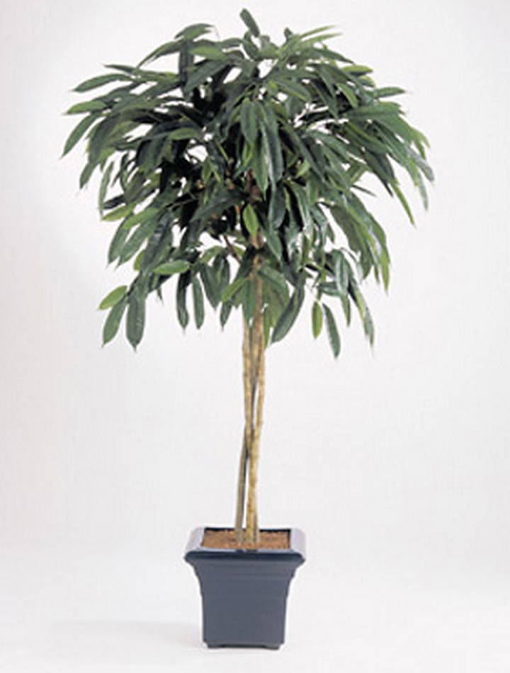 180 cm | Longifolia Palmenmarkt Ficus Kunstbaum |