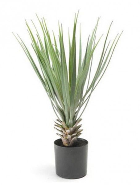 Yucca rostrada 50 cm | Kunstpflanze im Topf