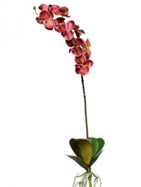 Phalaenopsis 80 cm Zweig | Orchideen Kunstzweig bourgund