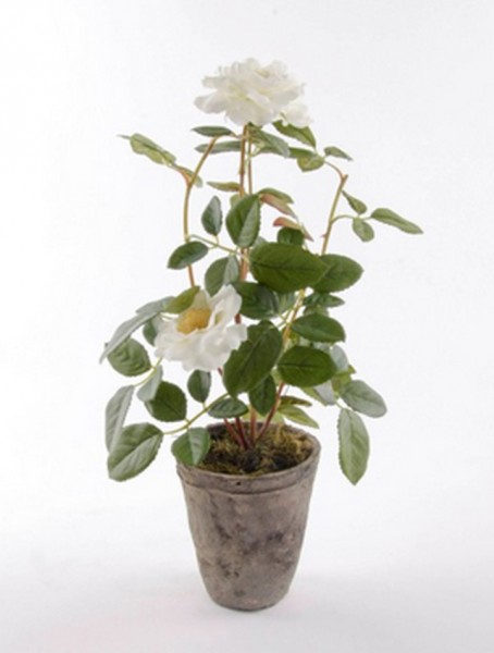 Rose patio cremeweiß 35 cm | Kunstpflanze im Antiktopf