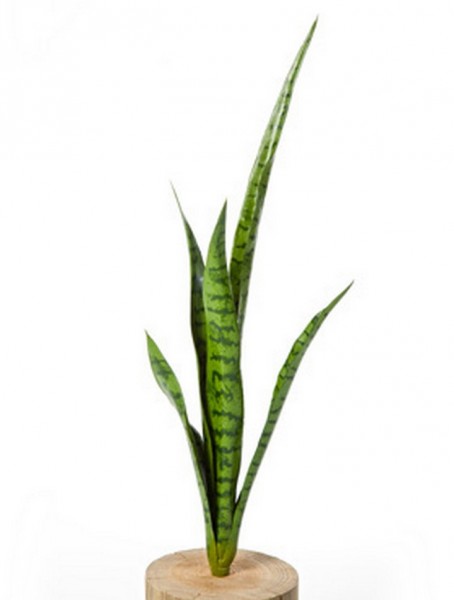Sansevieria green 80 cm | künstlicher Bogenhanf
