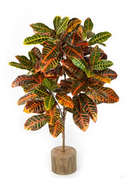 Croton petra 130 cm | Kunstpflanze
