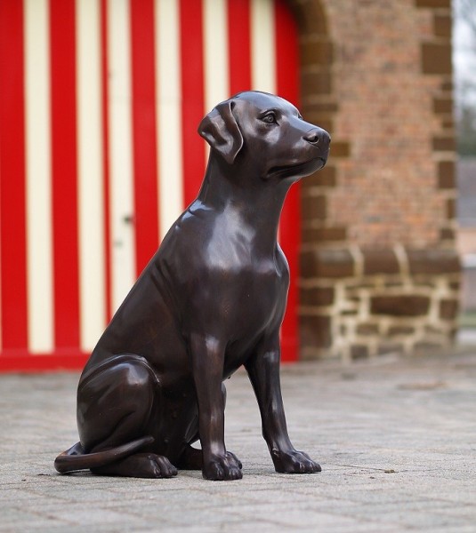 Großer Bronze Labrador - 77 cm sitzend