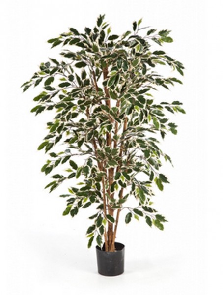Ficus nitida var.120 cm Kunstpflanze