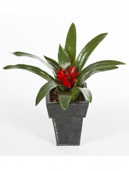 Bromelia 33 cm | Kunstpflanze